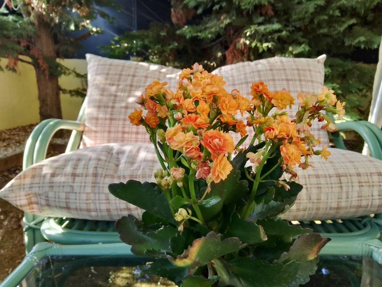 Like My Home 아르테미다 외부 사진