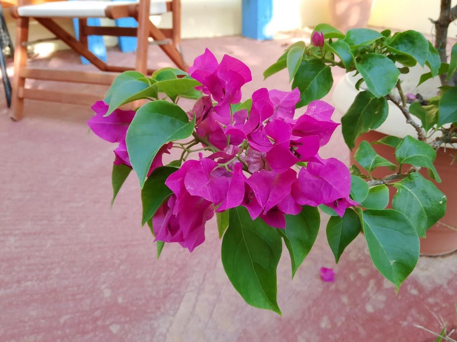 Like My Home 아르테미다 외부 사진